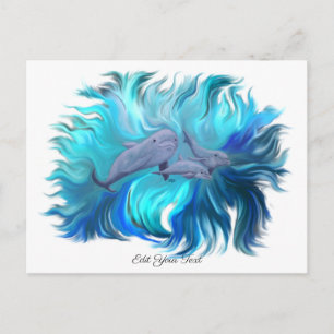 In the Dolphin School Postcard