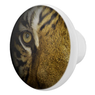 In the Eye of a Tiger Ceramic Knob