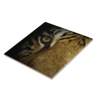 In the Eye of a Tiger Ceramic Tile