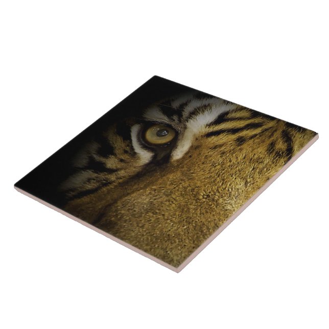 In the Eye of a Tiger Ceramic Tile (Side)