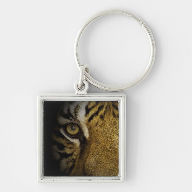 In the Eye of a Tiger Key Ring (Front)