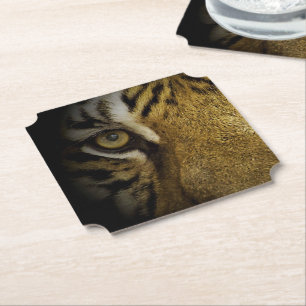 In the Eye of a Tiger Paper Coaster