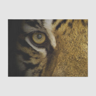 In the Eye of a Tiger Tissue Paper