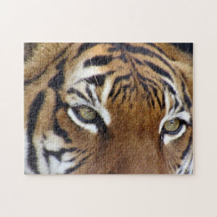 In The Eyes of a Tiger Puzzle