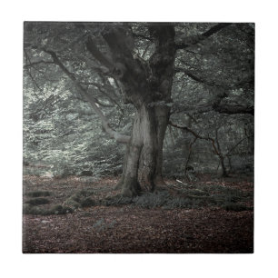 In the fairytale forest     ceramic tile