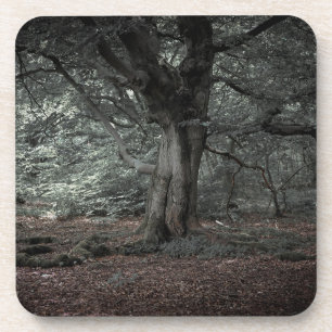 In the fairytale forest coaster