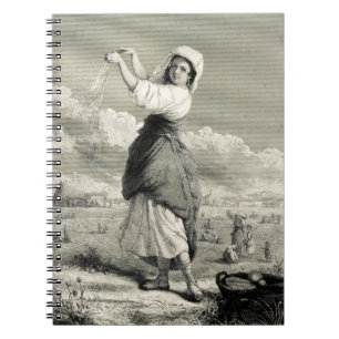 In The Fields - J G Chapman - 1861 Notebook