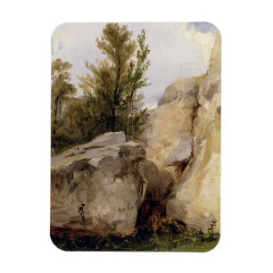 In the Forest of Fontainebleau, c.1825 (oil on can Magnet