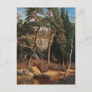 “In The Forest” postcard