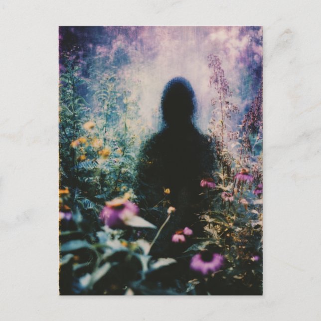 In the Garden Abstract Postcard (Front)