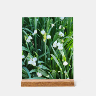 In the Garden... Acrylic Sign