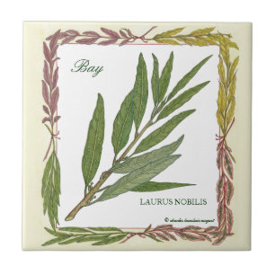 In the Garden ~ Bay Leaf Tile