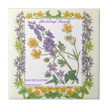 In the Garden ~ Buttercup Family  Tile