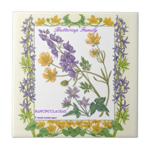 In the Garden ~ Buttercup Family  Tile