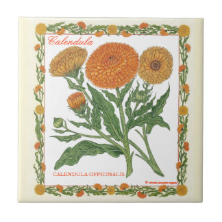 In the Garden ~ Calendula Tile
