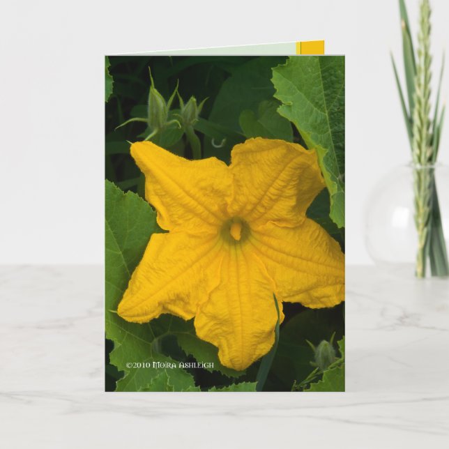 In the Garden Card (Front)