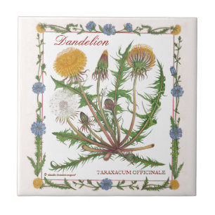 In the Garden ~ Dandelion Tile