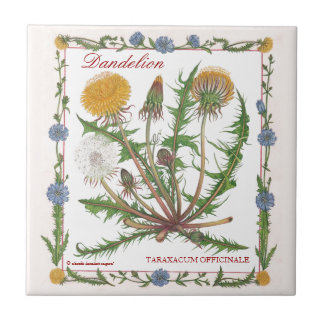 In the Garden ~ Dandelion Tile