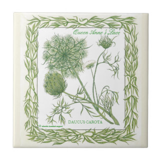 In the Garden ~ Queen Anne's Lace Tile