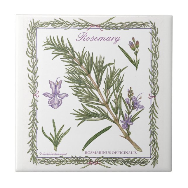 In the Garden ~ Rosemary Tile (Front)