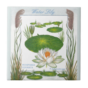 In the Garden ~ Water Lily Tile