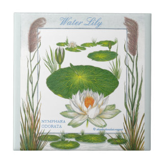 In the Garden ~ Water Lily Tile