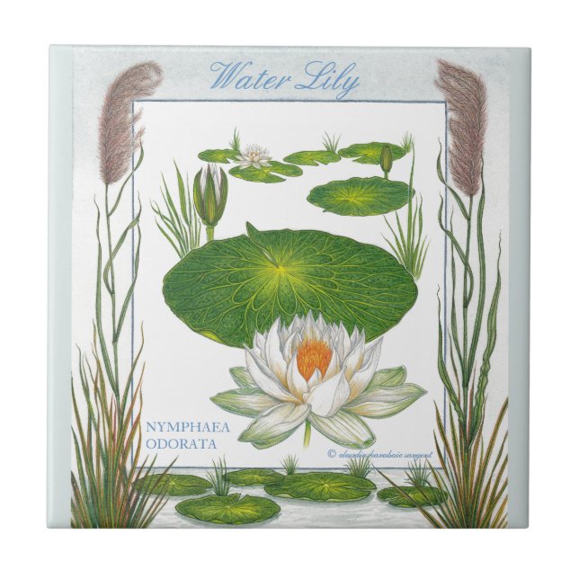 In the Garden ~ Water Lily Tile (Front)