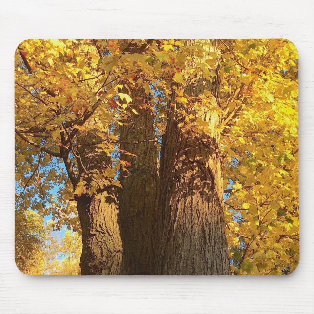 In the Glow of Golden Maple Leaves - Mouse Pad (Front)