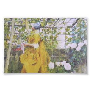 In the Grape Arbor Photo Print
