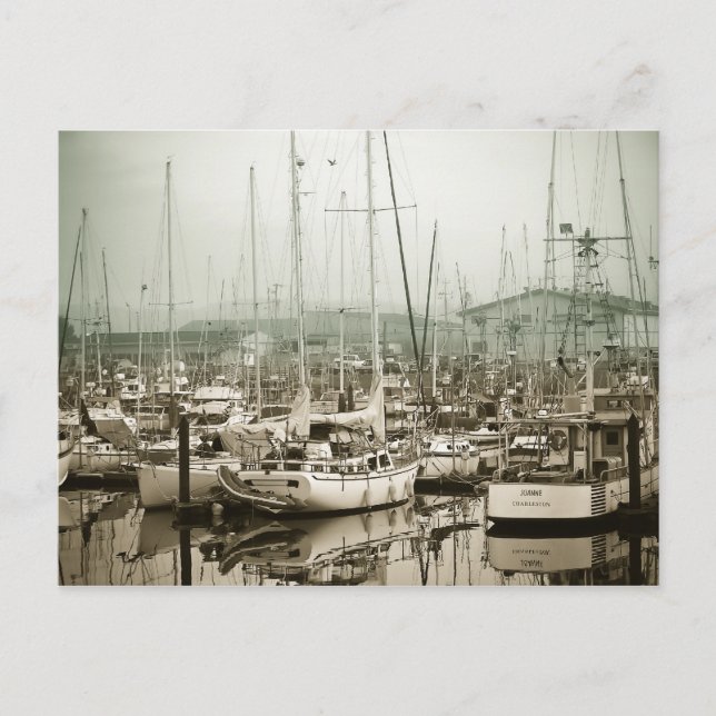 In The Harbour Postcard (Front)