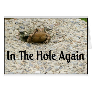 In The Hole Again