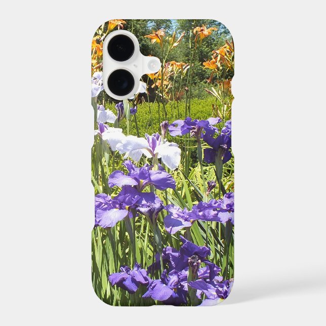 In the Iris Garden (Back)