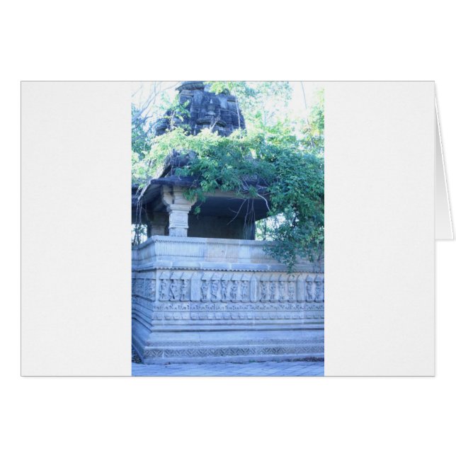 In the jungle (Front Horizontal)