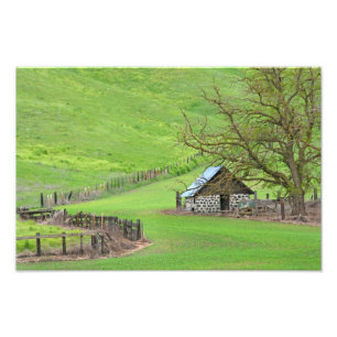 In The Knoll. Photo Print