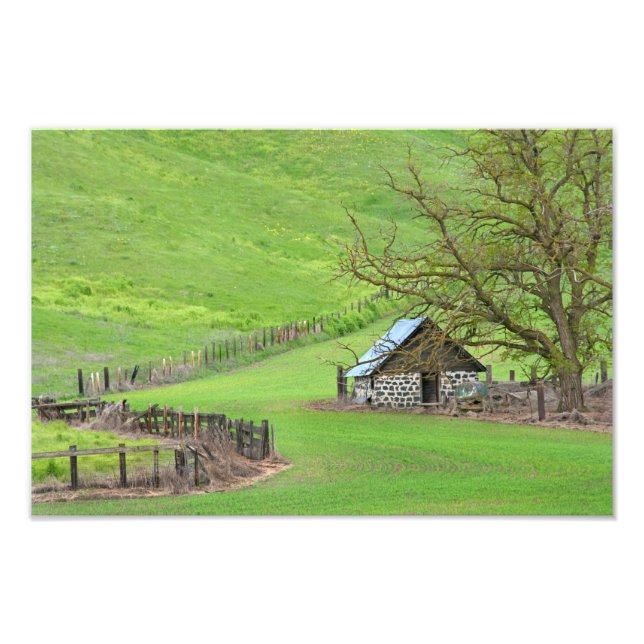 In The Knoll. Photo Print (Front)