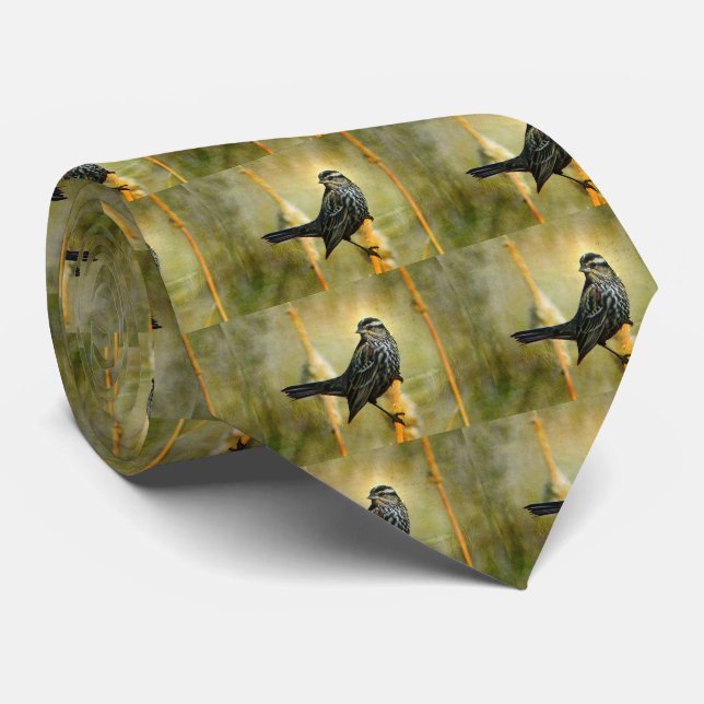 In the Limelight Men's Tie (Rolled)