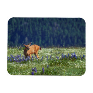 In the Meadow Magnet