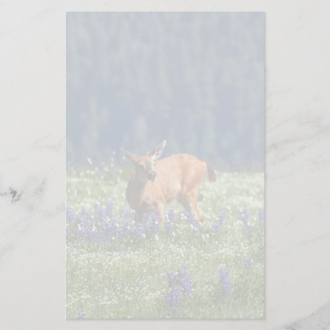 In the Meadow Stationery (Front)