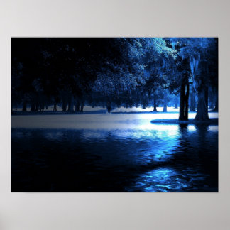 In the Moonlight Poster