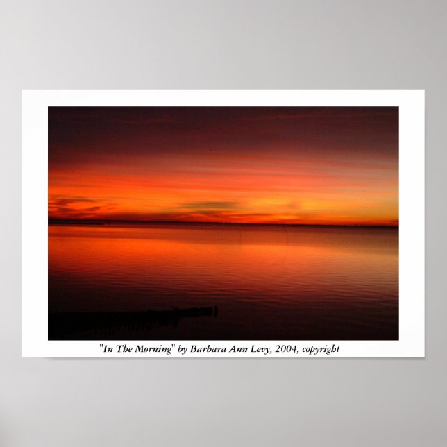 In The Morning by Barbara Levy, 2004, copyright Poster (Front)