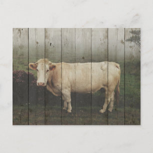 IN THE PASTURE... POSTCARD