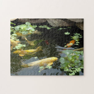 In the Pond Photo Puzzle