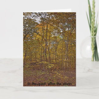 In the quiet  after the storm sympathy card