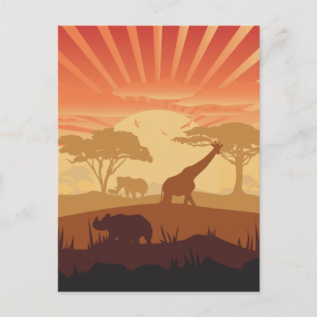 In The Safari Postcard (Front)