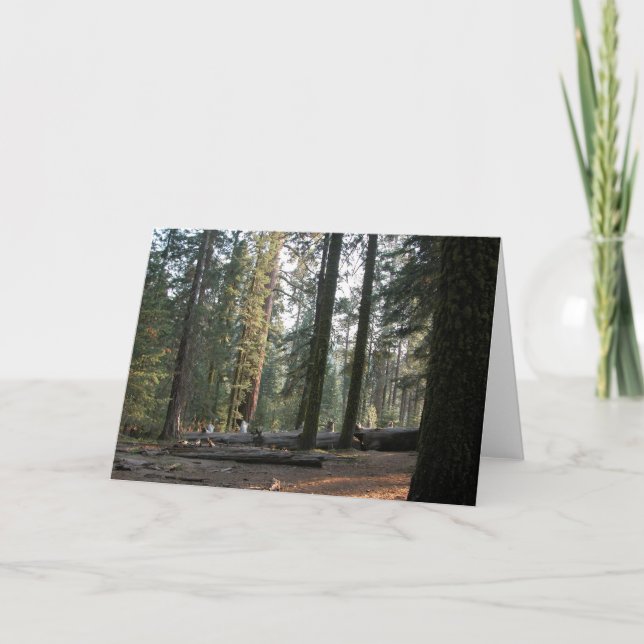 In the Sierra Neveda Card (Front)