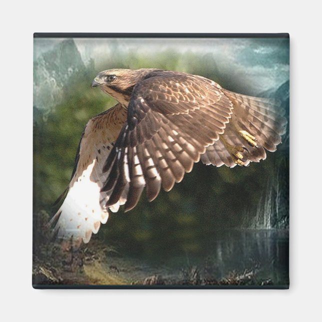 In The Sky Magnet (Front)