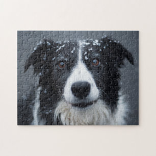 In The Snow Dog Jigsaw Puzzle