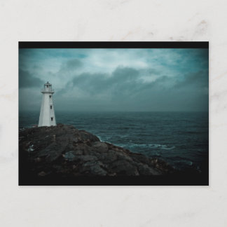 In The Storm Postcard