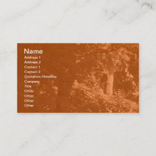 In the Trees - Orange Business Card
