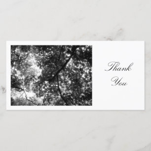 In the Trees - Thank You Card
